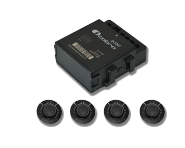 Cobra 0358 parkview OEM display